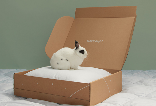 Almofada Efeito Penugem