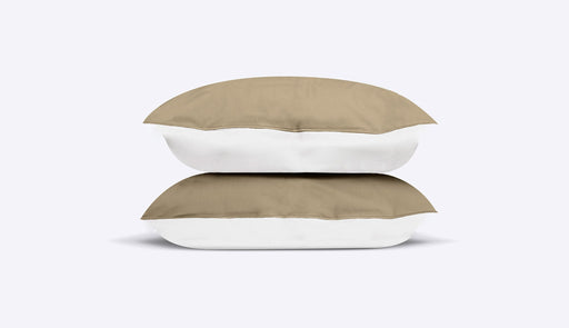 Cinzento-acastanhado / Branco