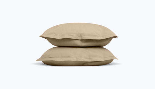 Cinzento-acastanhado