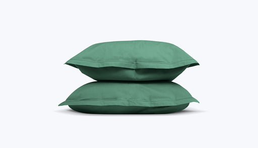 Verde floresta